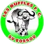 Team logo