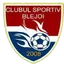 Team logo