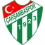 Team logo