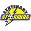 Team logo