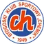 Team logo