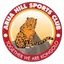 Team logo