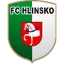 Team logo