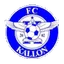Team logo