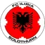 Team logo