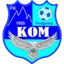 Team logo