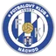 Team logo