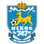 Team logo