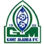Team logo