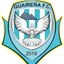 Team logo