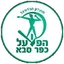 Team logo
