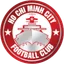 Team logo