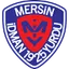 Team logo