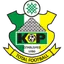 Team logo
