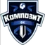 Team logo