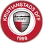 Team logo