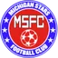Team logo