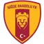 Team logo