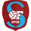 Team logo