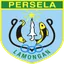 Team logo