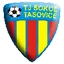 Team logo