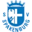 Team logo