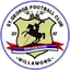 Team logo