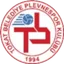 Team logo