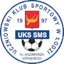 Team logo