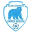 Team logo