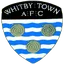 Team logo
