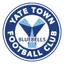 Team logo