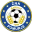 Team logo