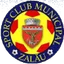 Team logo