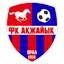 Team logo