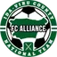Team logo