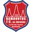Team logo