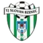 Team logo