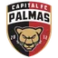 Team logo