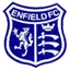 Team logo