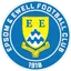 Team logo