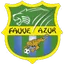 Team logo