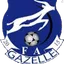 Team logo