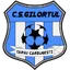 Team logo