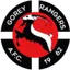 Team logo