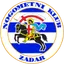 Team logo