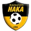 Team logo