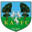 Team logo