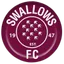 Team logo