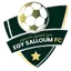 Team logo